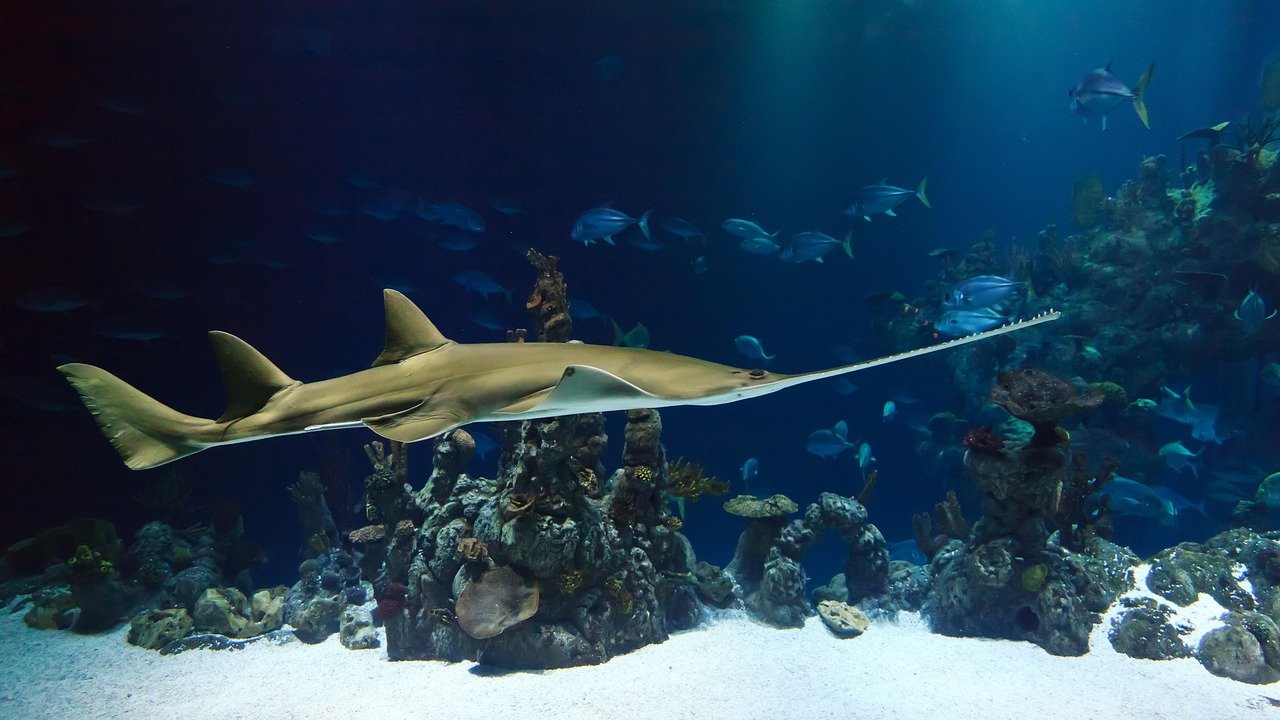 Photo illustrant le métier de Charpentier de marine
