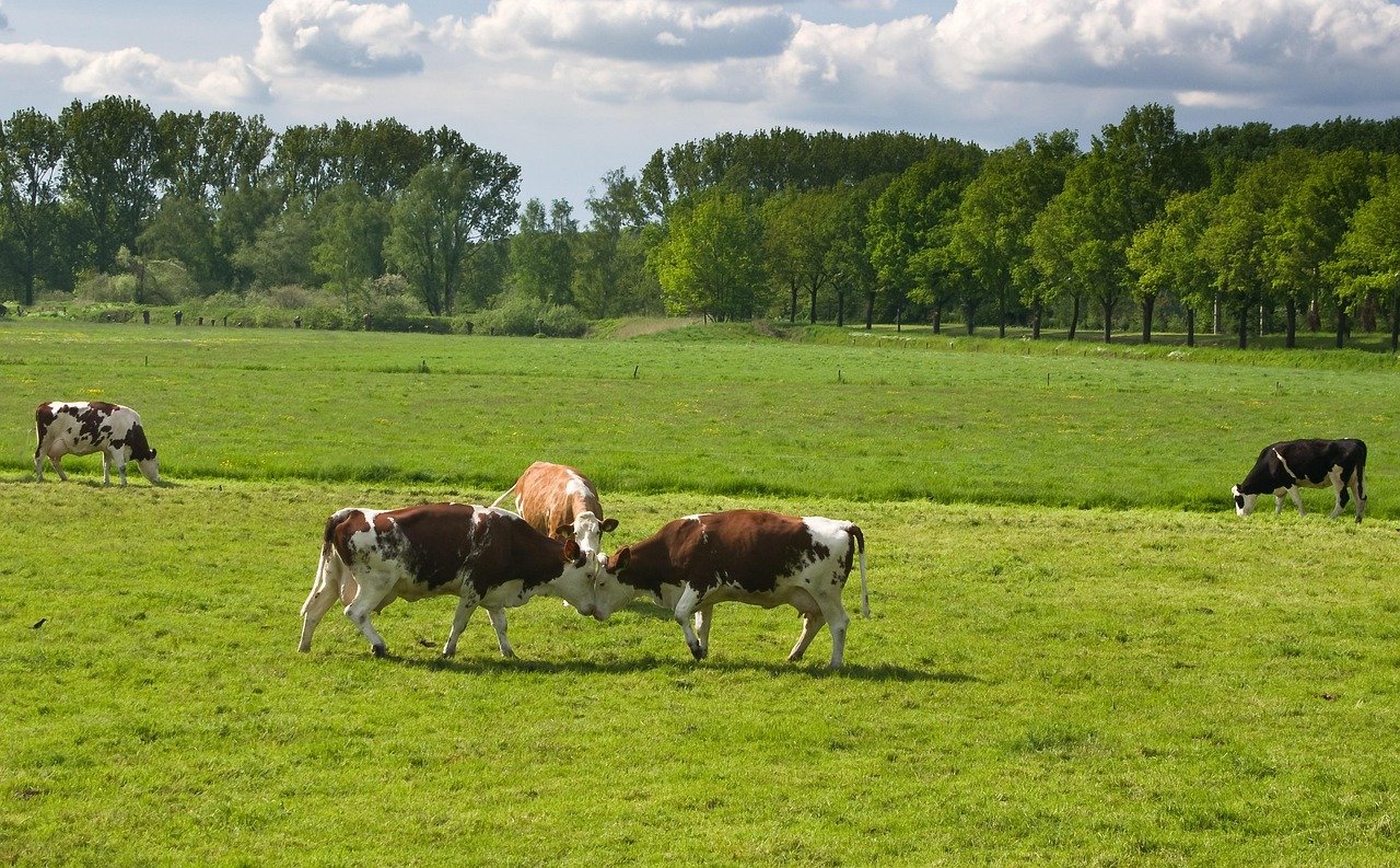 Photo illustrant le métier de Médiateur scientifique
