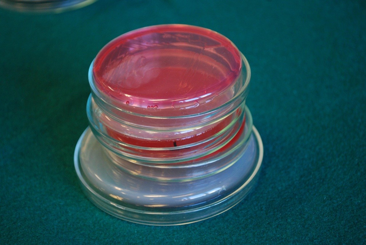 Photo illustrant le métier de Microbiologiste